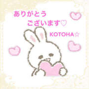 ヒメ日記 2025/08/18 11:30 投稿 ことは 尻舐め女