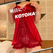 ヒメ日記 2025/10/31 19:55 投稿 ことは 尻舐め女