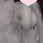 ヒメ日記 2025/01/26 19:09 投稿 なつ サンキュー福岡店