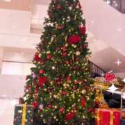 ヒメ日記 2024/12/12 15:00 投稿 すずね 成田人妻講座