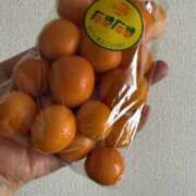 ヒメ日記 2025/03/21 06:31 投稿 蔵木ゆみ プランタン大塚