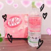 ヒメ日記 2025/04/05 09:00 投稿 うさぎ スピードエコ天王寺店