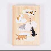 ヒメ日記 2025/04/24 21:27 投稿 うさぎ スピードエコ天王寺店