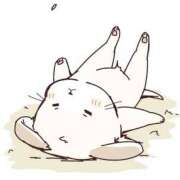 ヒメ日記 2025/05/31 23:50 投稿 うさぎ スピードエコ天王寺店