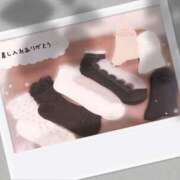 ヒメ日記 2025/06/06 11:40 投稿 うさぎ スピードエコ天王寺店