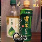 ヒメ日記 2025/06/28 08:00 投稿 うさぎ スピードエコ天王寺店