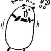 ヒメ日記 2025/11/13 10:30 投稿 うさぎ スピードエコ天王寺店