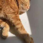 うさぎ うさぎ（エコ天王寺店） スピードエコ天王寺店