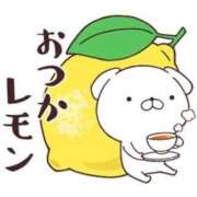 ヒメ日記 2026/04/03 21:30 投稿 うさぎ スピードエコ天王寺店