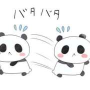 ヒメ日記 2026/04/06 11:10 投稿 うさぎ スピードエコ天王寺店