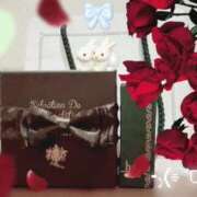 ヒメ日記 2026/04/09 11:10 投稿 うさぎ スピードエコ天王寺店