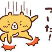 ヒメ日記 2026/04/12 17:50 投稿 うさぎ スピードエコ天王寺店