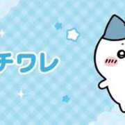 ヒメ日記 2026/04/17 08:10 投稿 うさぎ スピードエコ天王寺店