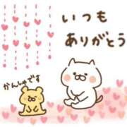 ヒメ日記 2026/05/16 17:00 投稿 うさぎ スピードエコ天王寺店