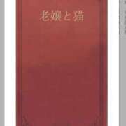 ヒメ日記 2026/05/29 21:00 投稿 うさぎ スピードエコ天王寺店
