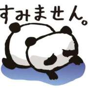 ヒメ日記 2026/06/28 07:40 投稿 うさぎ スピードエコ天王寺店