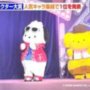 ヒメ日記 2026/07/11 13:20 投稿 うさぎ スピードエコ天王寺店