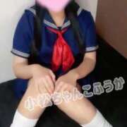 ヒメ日記 2025/11/24 14:59 投稿 ふうか 石川小松ちゃんこ