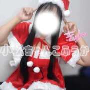 ヒメ日記 2025/11/25 16:59 投稿 ふうか 石川小松ちゃんこ