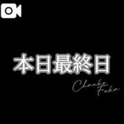ヒメ日記 2025/11/30 09:19 投稿 ふうか 石川小松ちゃんこ