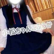 ヒメ日記 2025/11/30 13:59 投稿 ふうか 石川小松ちゃんこ