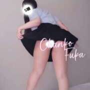 ヒメ日記 2026/03/11 09:22 投稿 ふうか 石川小松ちゃんこ