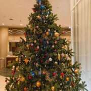 ヒメ日記 2024/12/25 18:02 投稿 荻原 奏多 テレジア大阪