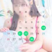 アミナ 4月スケジュール🌸🗓 ジャパンクラブ富士