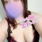 ヒメ日記 2025/01/06 15:42 投稿 れん 山口下関ちゃんこ