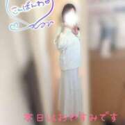 ヒメ日記 2025/02/25 22:52 投稿 れん 山口下関ちゃんこ