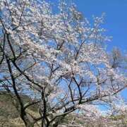 ヒメ日記 2025/03/24 22:12 投稿 れん 山口下関ちゃんこ