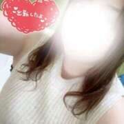 ヒメ日記 2025/04/27 15:22 投稿 れん 山口下関ちゃんこ