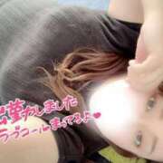 ヒメ日記 2025/05/29 16:27 投稿 れん 山口下関ちゃんこ