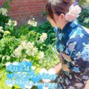 ヒメ日記 2025/07/12 22:17 投稿 れん 山口下関ちゃんこ