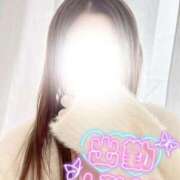 ヒメ日記 2025/11/05 15:24 投稿 れん 山口下関ちゃんこ