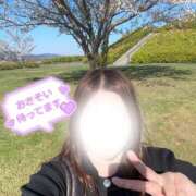 ヒメ日記 2026/04/09 15:24 投稿 れん 山口下関ちゃんこ