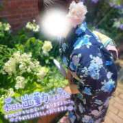 ヒメ日記 2026/08/06 12:17 投稿 れん 山口下関ちゃんこ