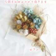 ヒメ日記 2025/09/18 23:21 投稿 ゆきの 姫コレクション(千葉)