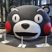 ヒメ日記 2025/12/22 12:24 投稿 しょう 神戸3040（神戸サーティフォーティ）