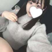 ヒメ日記 2025/02/16 14:16 投稿 ツグミ エピソード(品川)