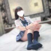 ヒメ日記 2025/02/20 11:46 投稿 ツグミ エピソード(品川)