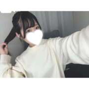 ヒメ日記 2025/02/24 13:46 投稿 ツグミ エピソード(品川)