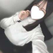 ヒメ日記 2025/04/08 12:16 投稿 ツグミ エピソード(品川)