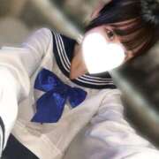 ヒメ日記 2025/09/12 11:01 投稿 ツグミ エピソード(品川)