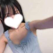 ヒメ日記 2026/05/07 18:16 投稿 ツグミ エピソード(品川)