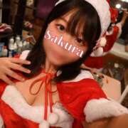 ヒメ日記 2024/12/19 17:33 投稿 桜/Sakura ジュリエット