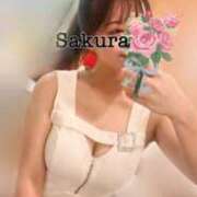 ヒメ日記 2025/01/12 13:06 投稿 桜/Sakura ジュリエット