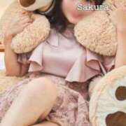 ヒメ日記 2025/01/16 09:42 投稿 桜/Sakura ジュリエット