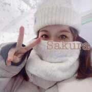 ヒメ日記 2025/02/14 08:36 投稿 桜/Sakura ジュリエット