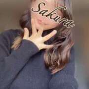 ヒメ日記 2025/04/19 09:33 投稿 桜/Sakura ジュリエット